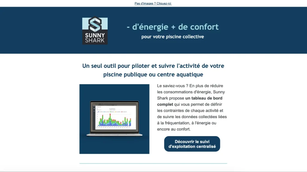 Newsletter Sunny Shark
